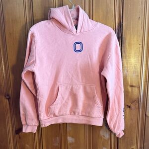 Kids Pink Hoodie
